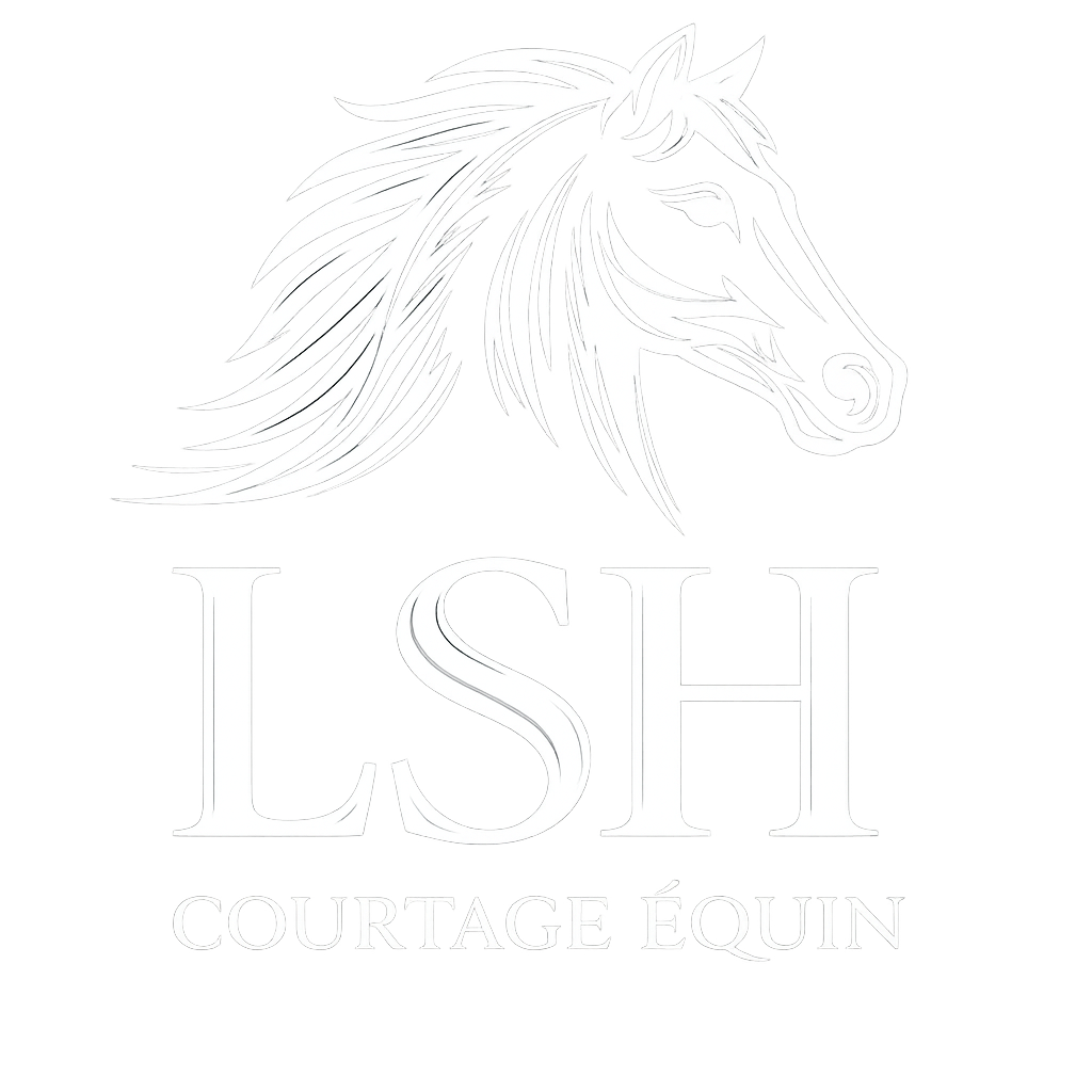 catalogue.lsh-courtage.fr